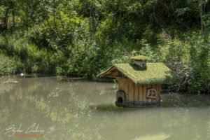 Къщичка за водолюбиви птици в Златен парк, Луковит