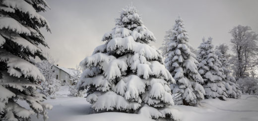 Етрополски Балкан