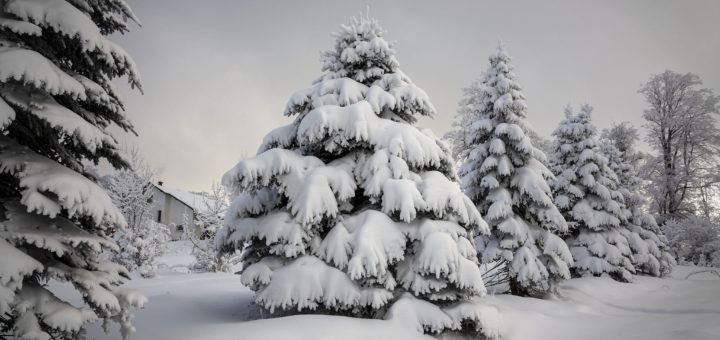 Етрополски Балкан