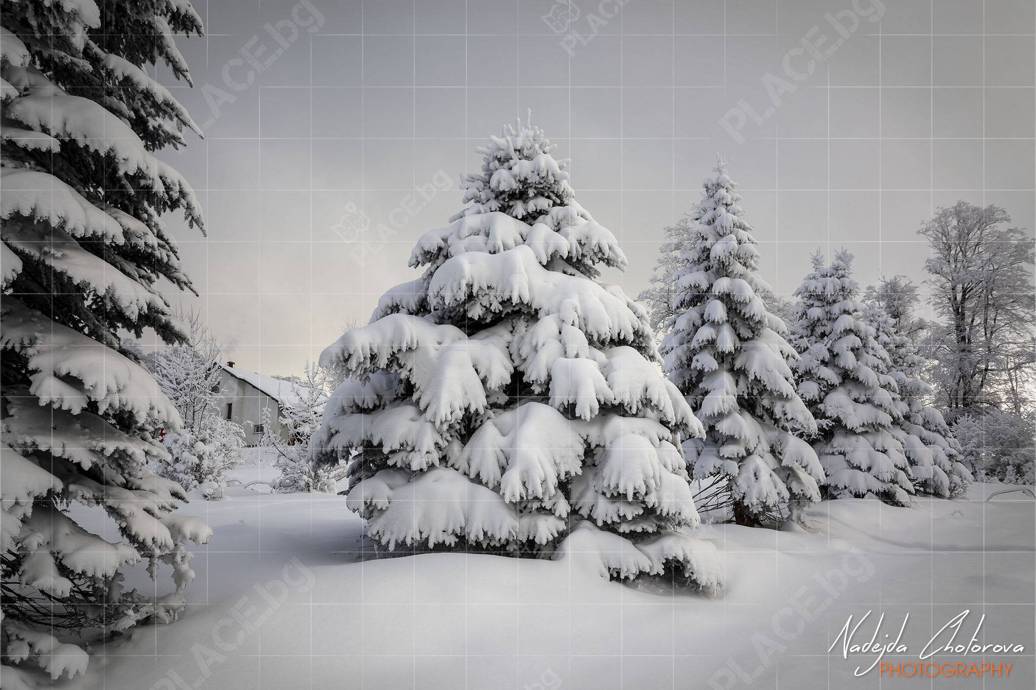 Етрополски Балкан